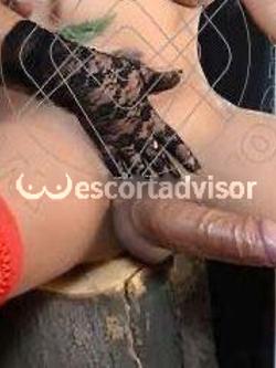 Trans 3933500870
