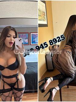 Trans 3509458925