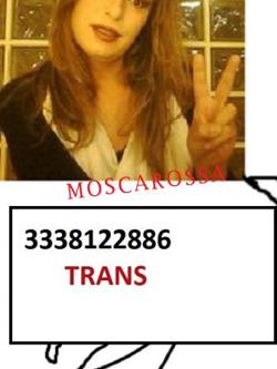 Trans 3338122886