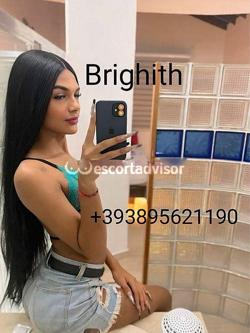 Trans 3895621190