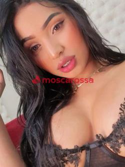 Escort 3533084094
