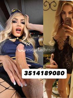 Trans 3514189080