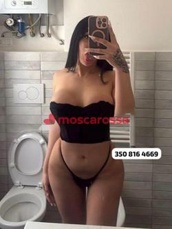 Trans 3508164669