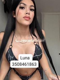 Trans 3508461863