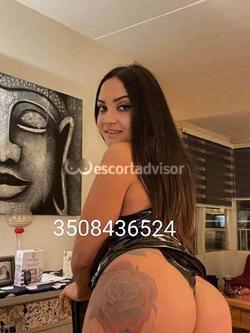 Trans 3508436524