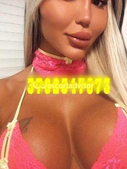 Trans 3762347073