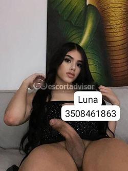 Trans 3508461863