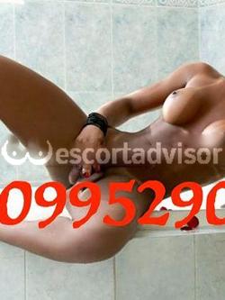 Trans 3509952907