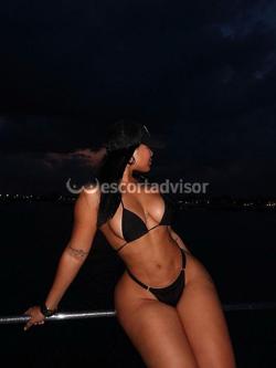 Escort 3509525854