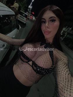 Trans 3892083050