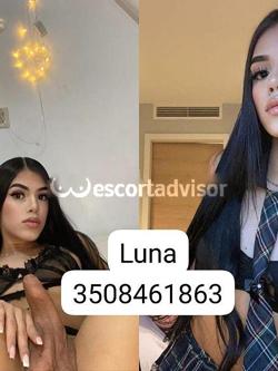Trans 3508461863