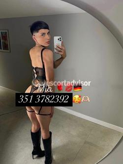 Trans 3513782392