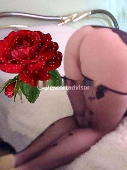 Escort 3278776520