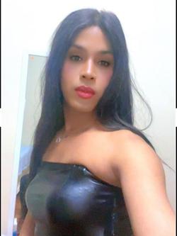 Trans 623249819