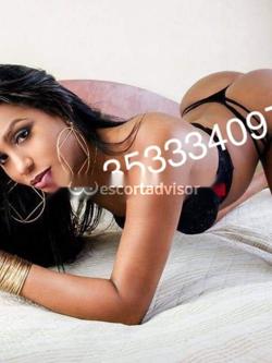 Trans 3533340979