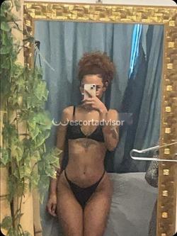 Escort 3444082295