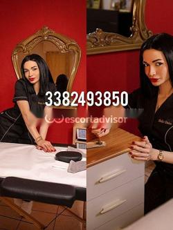 Trans 3382493850