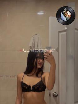 Trans 3935244497