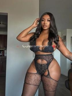 Escort 3343855320