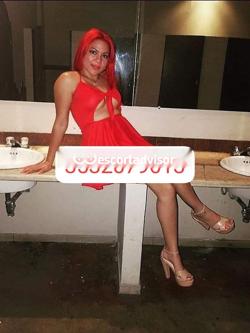 Trans 3532079613