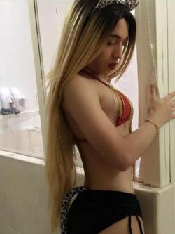 Trans 600953873