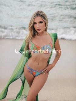 Escort 3384144916