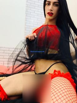 Trans 666336232