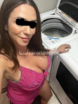 Escort 3494648717