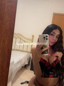 Trans 3761238754