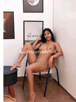 Escort 3509407527