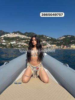 Trans 3279828961