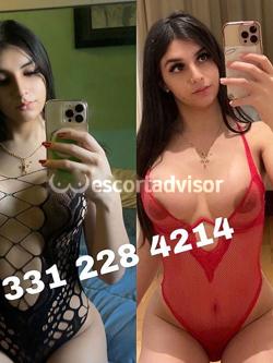 Trans 3312284214