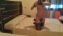 Mujeres 645314434