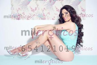 Trans 654121019