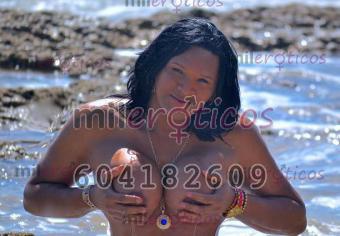 Trans 604182609