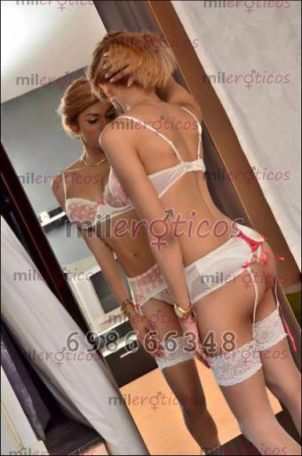 Trans 698666348