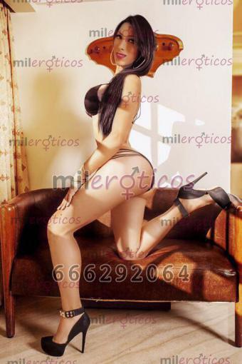 Trans 666292064