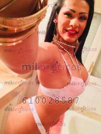 Trans 610028587