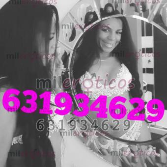 Trans 631934629