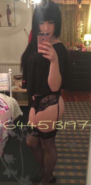 Trans 644513197