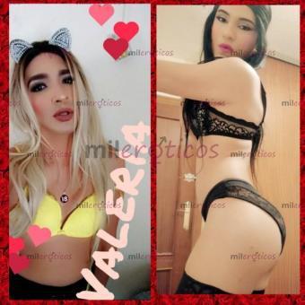 Trans 643886652