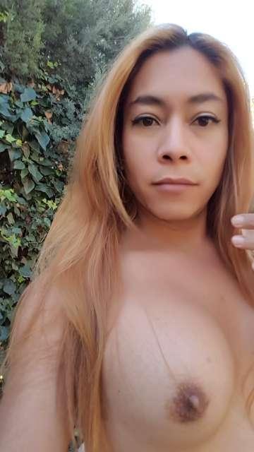 Trans 691777547