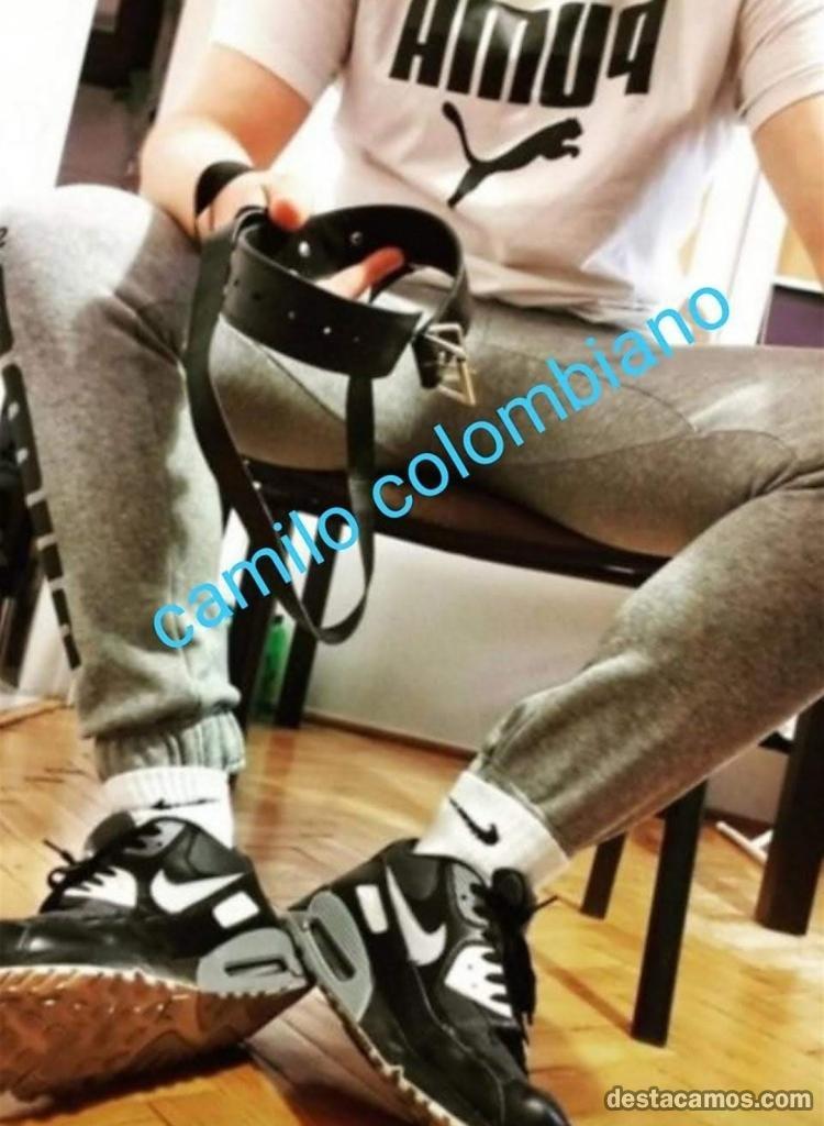 Trans 691381597