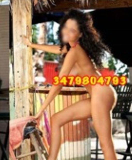 Escort 3479804793