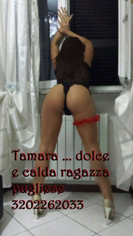 Escort 3202262033