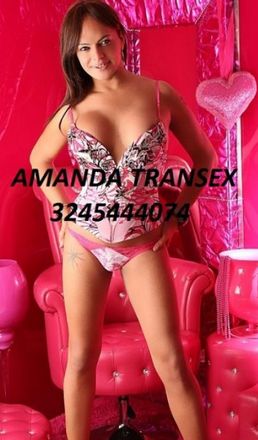 Trans 3245444074