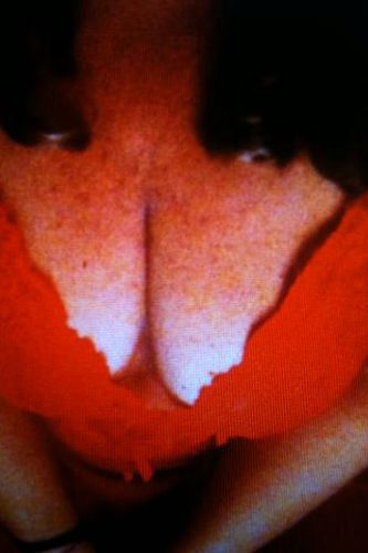 Escort 3206751680
