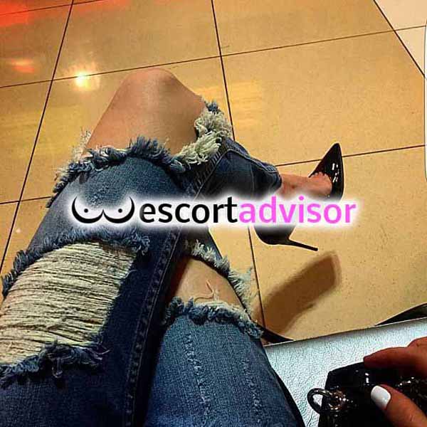 Escort 3389634438