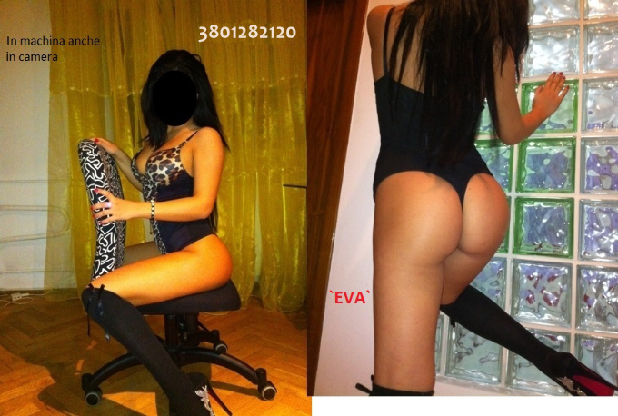 Escort 3801282120