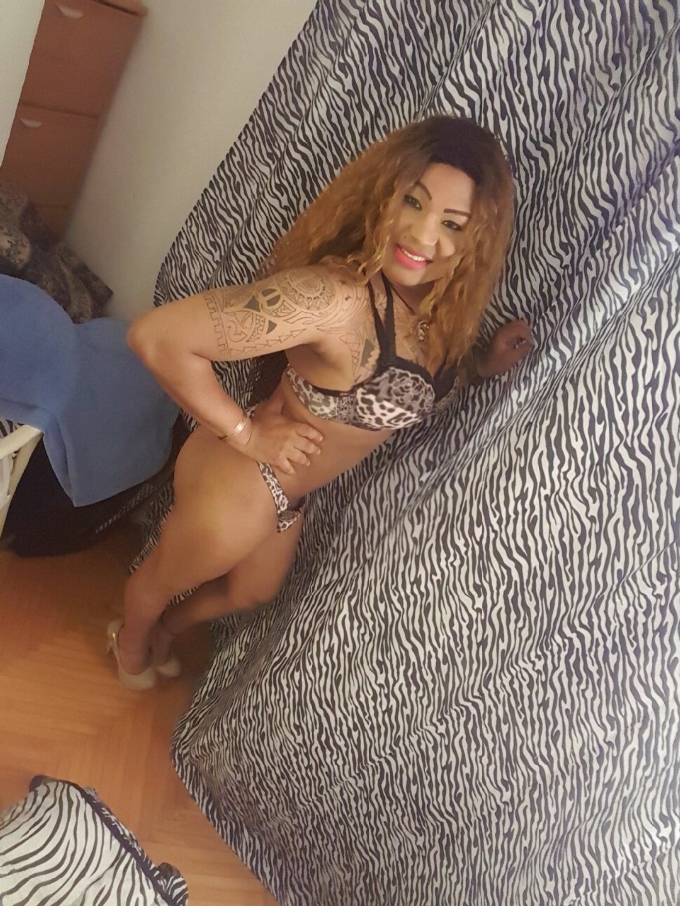Trans 3512111615